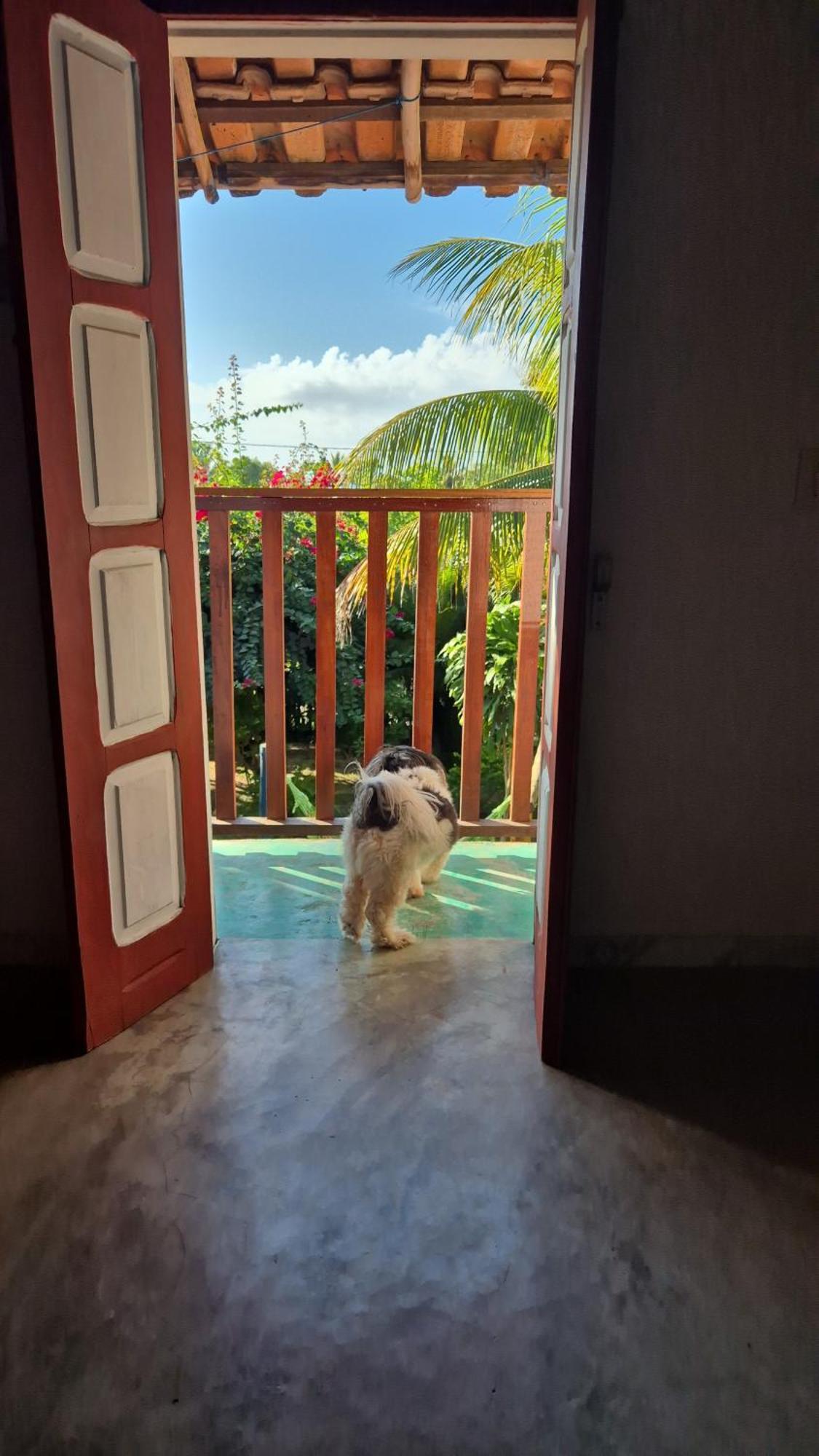 Casa Das Falesias Cumuruxatiba Kültér fotó